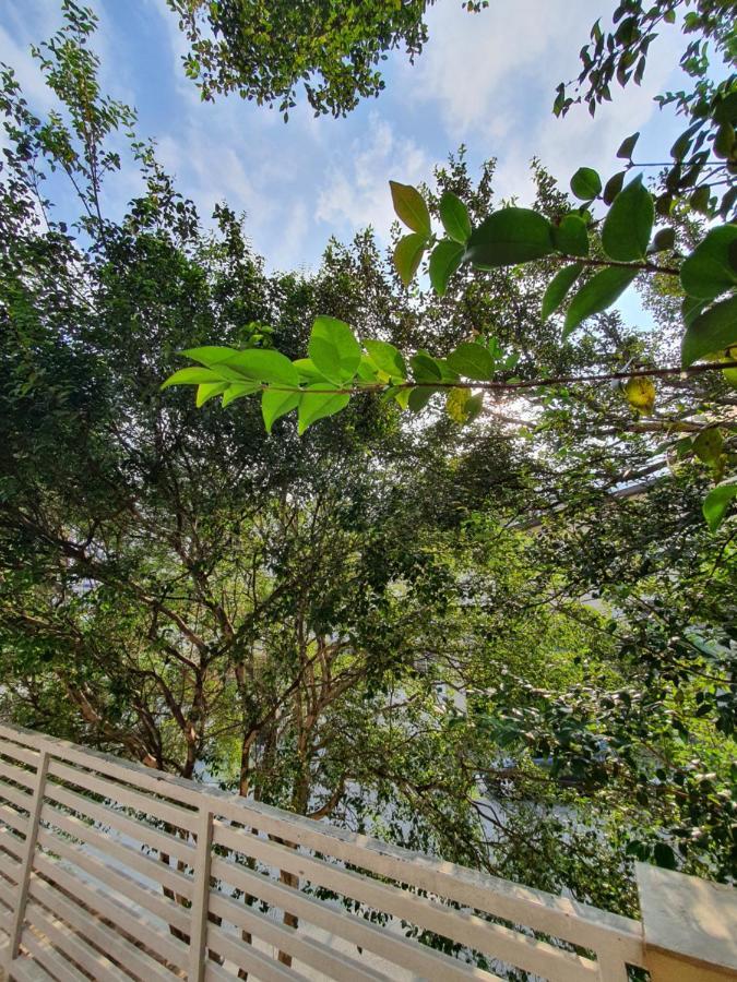 Villa Hostel Sp - Proximo Ao Allianz Parque E Paulista São Paulo Eksteriør billede